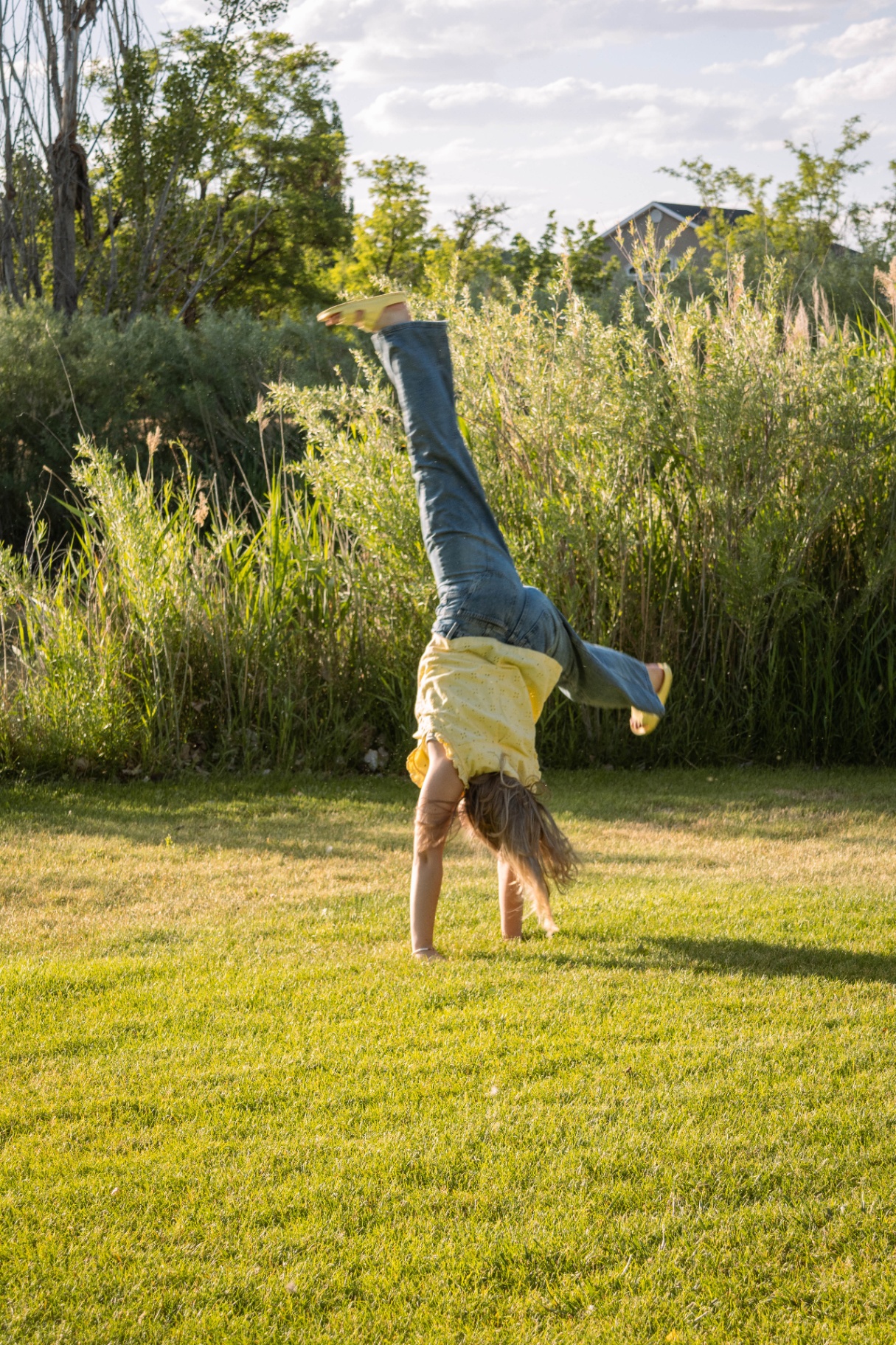 Girl mid-cartwheel in a yellow top and jeans on a grassy lawn at golden hour